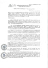 Vista preliminar de documento RGE-009-2023