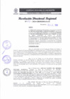 Vista preliminar de documento RDR 233-2024