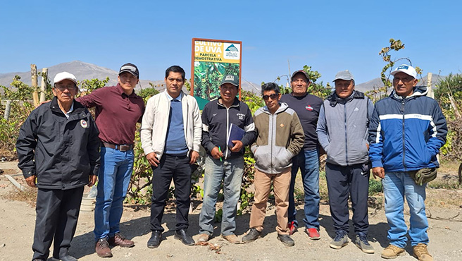 Se realizo los talleres de capacitación en vinos, con el objetivo de seguir promoviendo la producción de uvas y sus derivados.