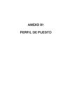 Vista preliminar de documento Anexo 01 Perfil de puesto