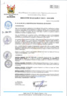 Vista preliminar de documento 213-2024-MPHH