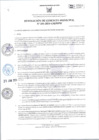 Vista preliminar de documento 241-2024