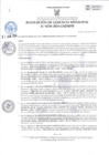 Vista preliminar de documento 236-2024
