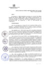 Vista preliminar de documento 381-CU-2024_27062024095528