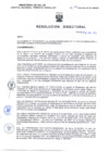 Vista preliminar de documento RD2024-197