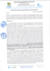 Vista preliminar de documento rgi420
