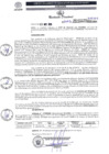 Vista preliminar de documento R.D. 2197