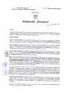 Vista preliminar de documento RD2024-199