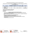 Vista preliminar de documento Resultado final
