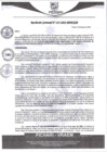 Vista preliminar de documento rgm247