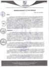 Vista preliminar de documento rgm275