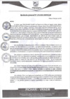 Vista preliminar de documento rgm278