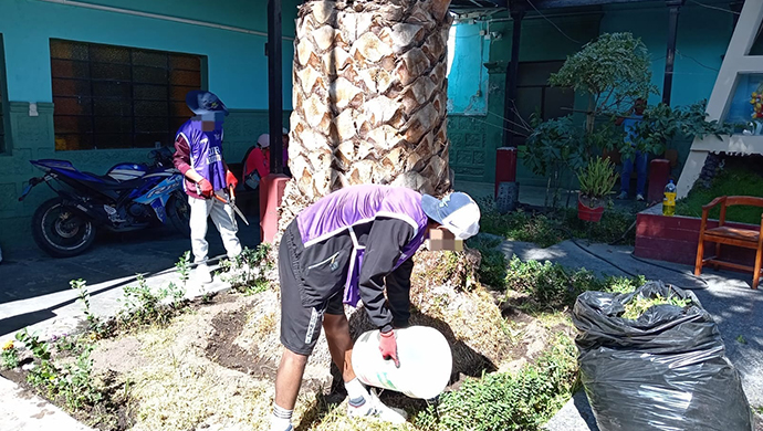Adolescentes del Programa JJR realizaron labor de mantenimiento de áreas verdes en comisaria de Arequipa