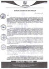 Vista preliminar de documento rgm285