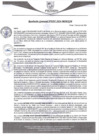 Vista preliminar de documento rgm295
