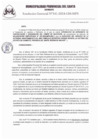 Vista preliminar de documento RG_141_2024