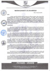 Vista preliminar de documento rgm305