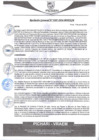 Vista preliminar de documento rgm307