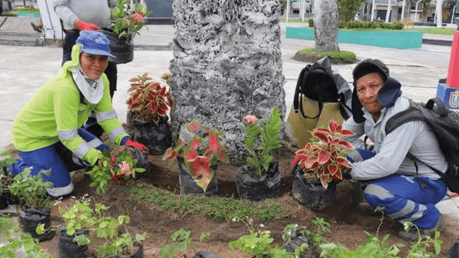 Continúa mantenimiento de parques y jardines