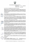 Vista preliminar de documento Directiva N° 08-2022-MSS