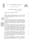Vista preliminar de documento RGM-119-2023