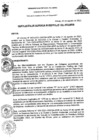 Vista preliminar de documento RGM-333-2023