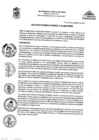 Vista preliminar de documento RGM-343-2023