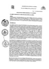Vista preliminar de documento RGM-344-2023