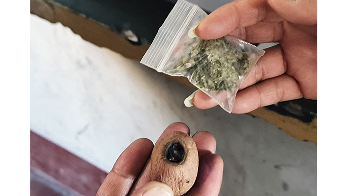 Ayacucho: Fiscalía de Prevención del Delito halla marihuana durante operativo en colegio de San Juan Bautista