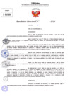 Vista preliminar de documento Resolucion Directoral N° 004062-2024