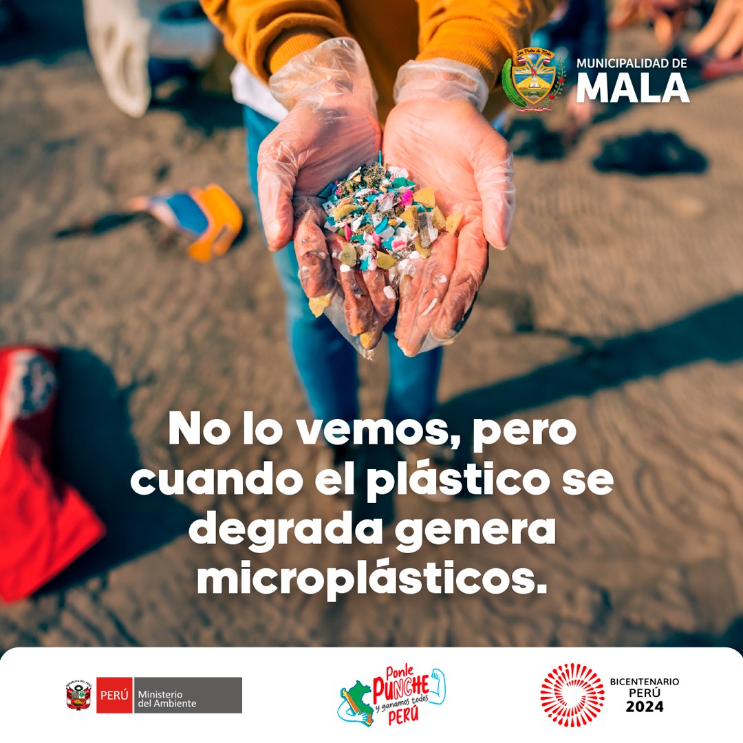 Día Internacional Libre de Bolsas de Plástico