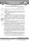 Vista preliminar de documento RGM-265-2024
