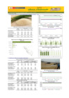 Vista preliminar de documento Boletín de abastecimiento y precio del ARROZ - 03/07/2024