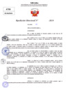 Vista preliminar de documento Resolucion Directoral N° 004079-2024