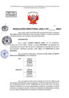 Vista preliminar de documento Resolucion Directoral N° 004095-2024