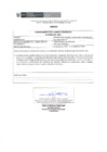 Vista preliminar de documento Informe - II Semestre