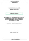 Vista preliminar de documento 03. BASES DE PROCESO DE SELECCION - AGREGADOS Y PIEDRAS