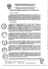Vista preliminar de documento RGR0271-2024-GRI