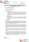 Vista preliminar de documento TDR - 2019