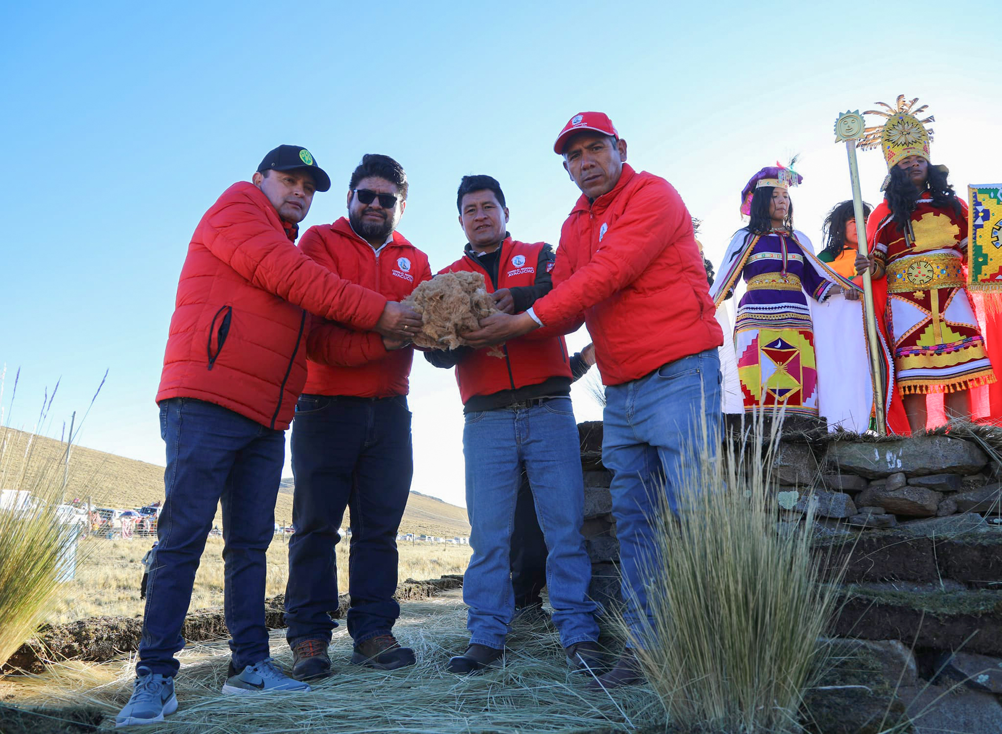 GORE Ayacucho celebró XXIX Chaccu Nacional con actividades de conservación y manejo sostenible