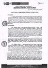 Vista preliminar de documento Ordenaza Municipal N° 020-2023-MPLP