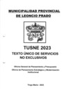 Vista preliminar de documento TEXTO UNICO DE SERVICIOS NO EXCLUSIVOS - TUSNE 2023