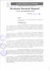 Vista preliminar de documento RDR 234-2024