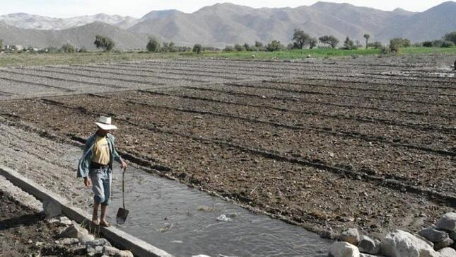 Titular del MIDAGRI participó de reunión bilateral con el Ministerio de Agricultura de China y del foro China - CELAC