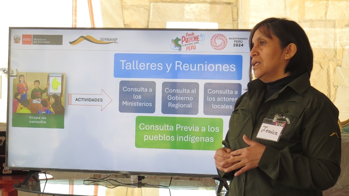 Reunión Amazonas