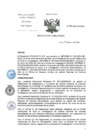Vista preliminar de documento RD-23-2024-DG-INCN