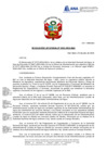 Vista preliminar de documento R.J. 253 CES Ad Hoc