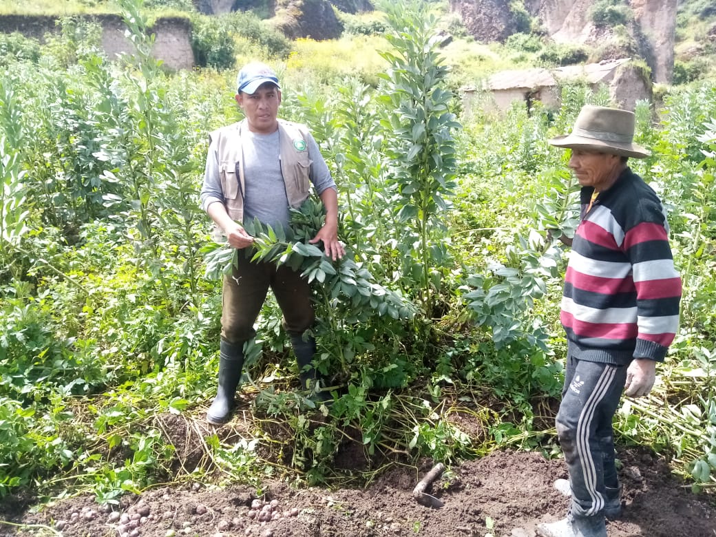 Nota de prensa del Gobierno Regional de Huancavelica 