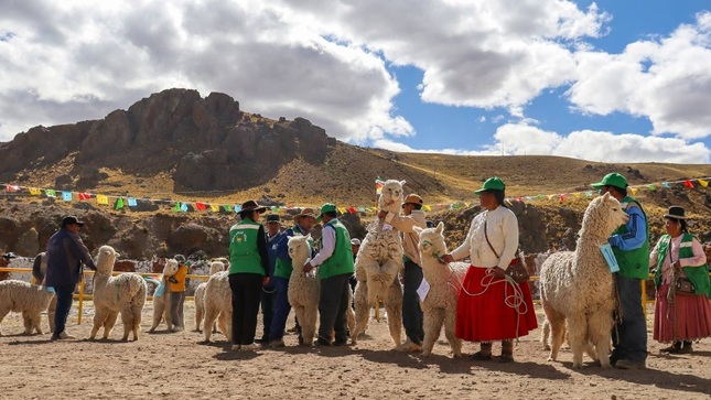 Municipalidad de Puno entregó incentivos al distrito de San Antonio en la XI Feria FEGASAN 2024