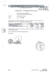 Vista preliminar de documento saldo-balance-pronied-2017